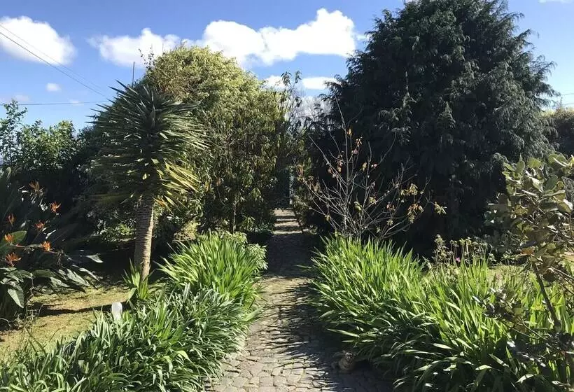 ペンション Quinta Dos Bravos