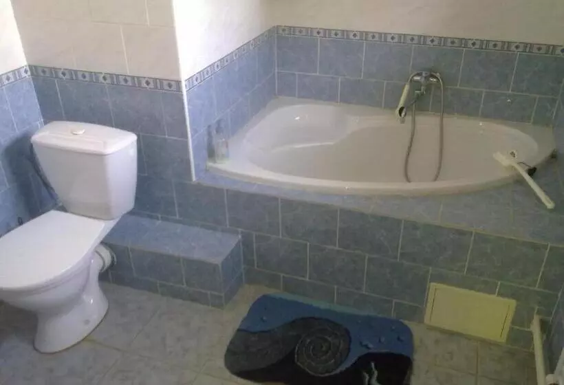 پانسیون Studánka
