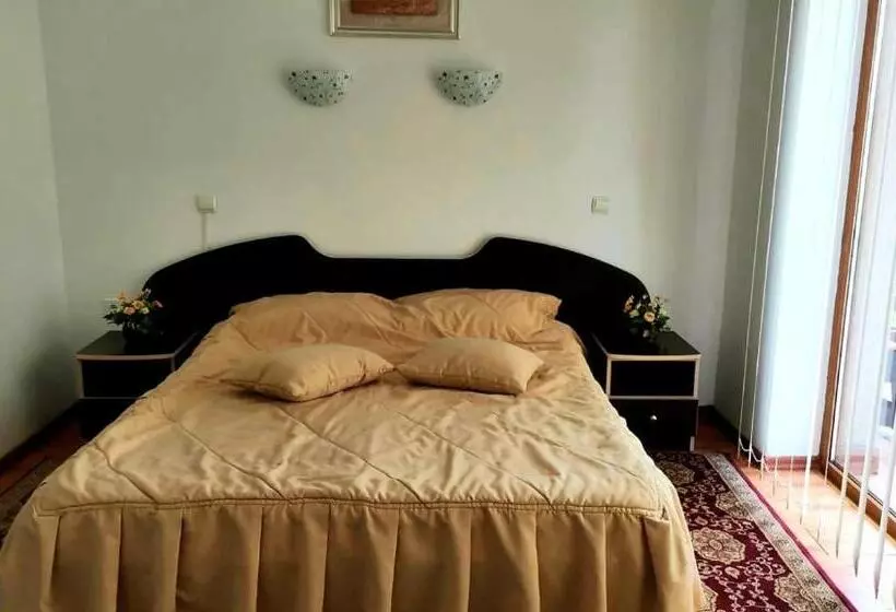 Pensiunea Anca