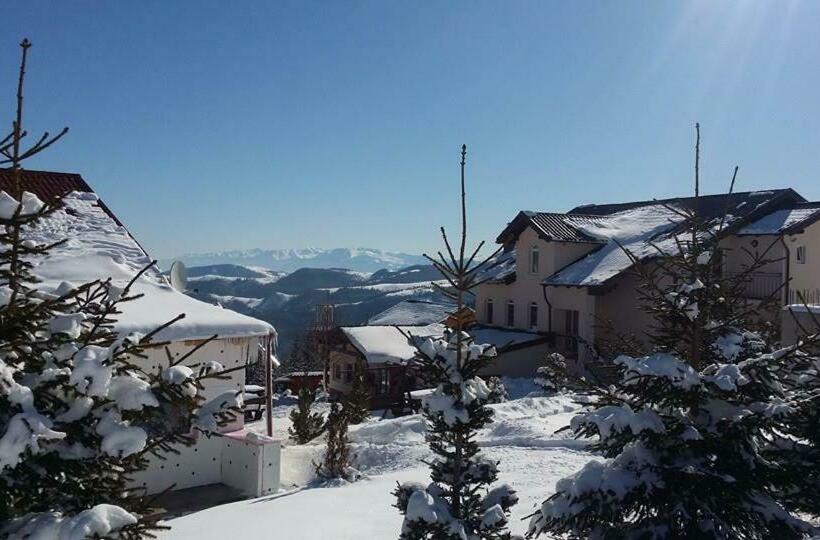 Pensiunea Romantic Belvedere Paltinis