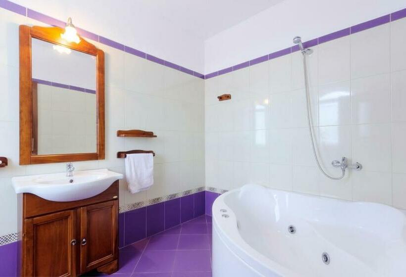 Pensiunea Romantic Belvedere Paltinis