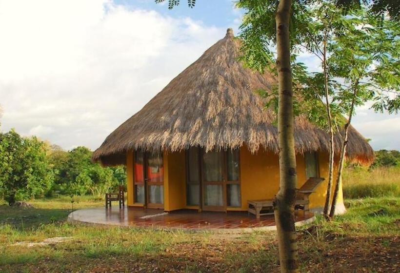 Bed and Breakfast Oro Beach Houses