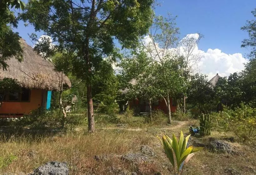 Aamiaismajoitus (B&B) Oro Beach Houses