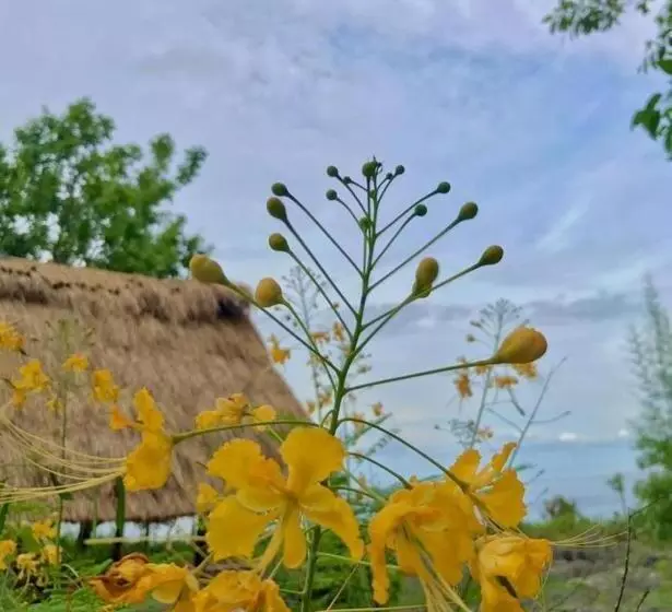 Aamiaismajoitus (B&B) Oro Beach Houses