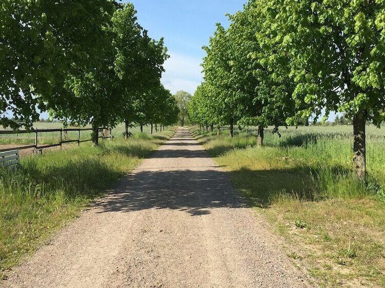 Otel Björkåsa Gård Bed & Box