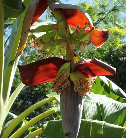 酒店 Finca La Magia