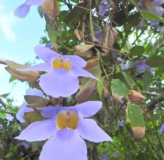 هتل Finca La Magia