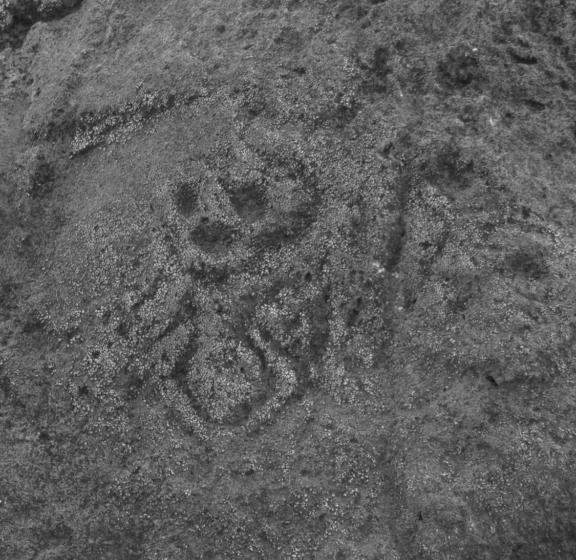 酒店 Finca La Magia