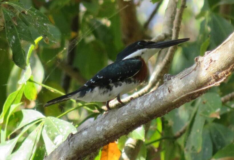 酒店 Finca La Magia