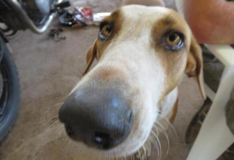 酒店 Finca La Magia