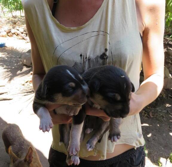 酒店 Finca La Magia