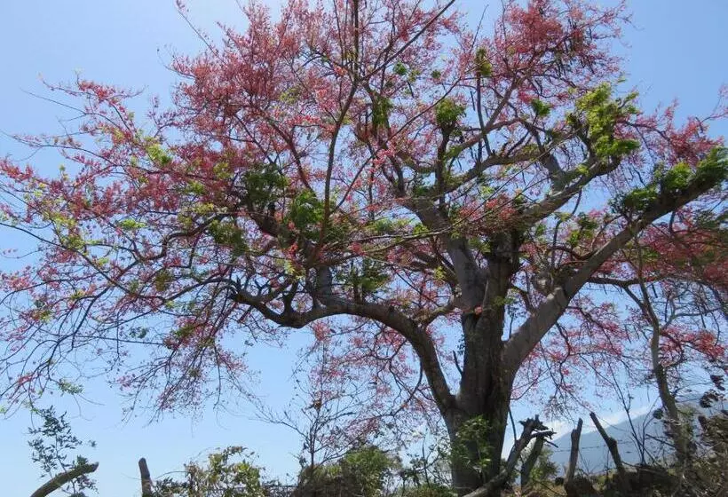 هتل Finca La Magia