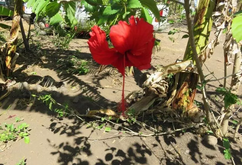 هتل Finca La Magia