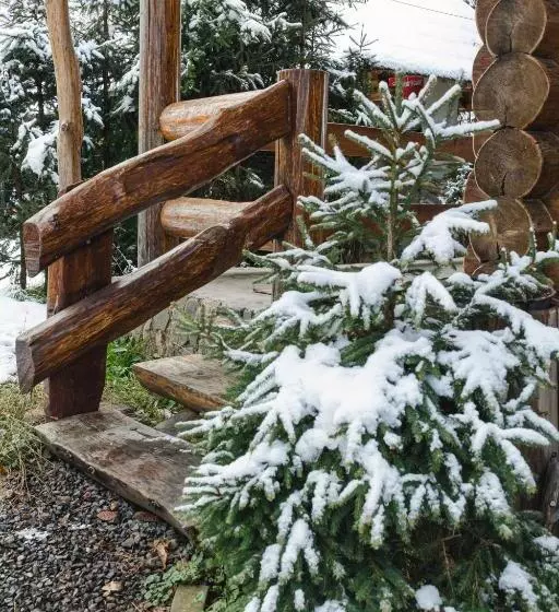 Hotelli Kolyba Opryshkiv