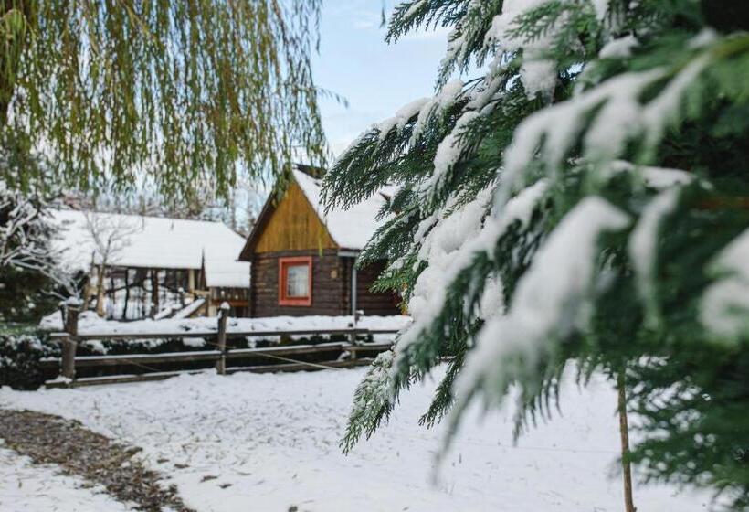 فندق Kolyba Opryshkiv