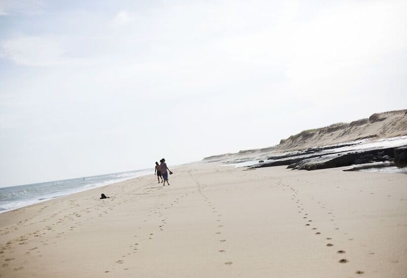 Otel Posada Buscavida