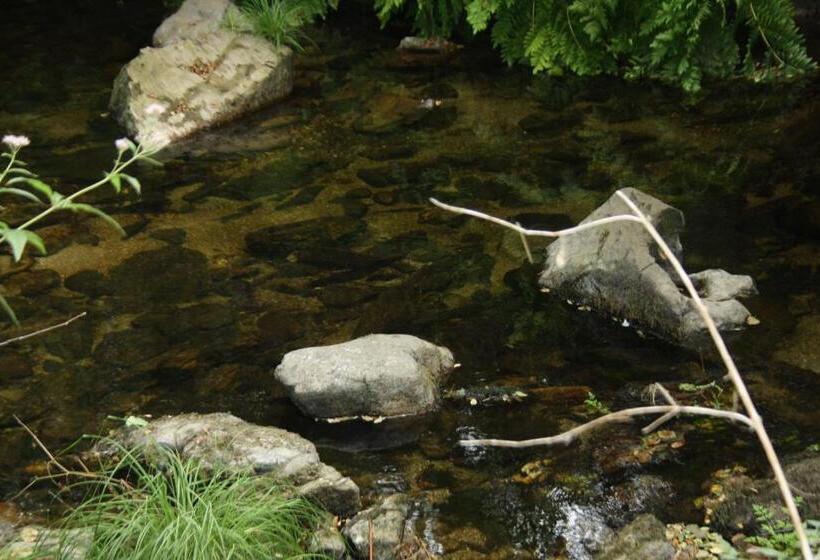 فندق Retiro Da Arminda