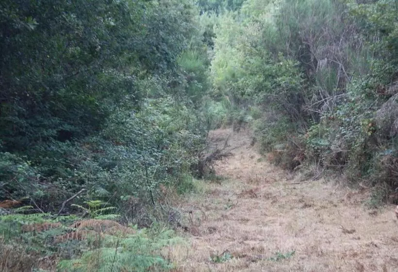 Hotelli Retiro Da Arminda