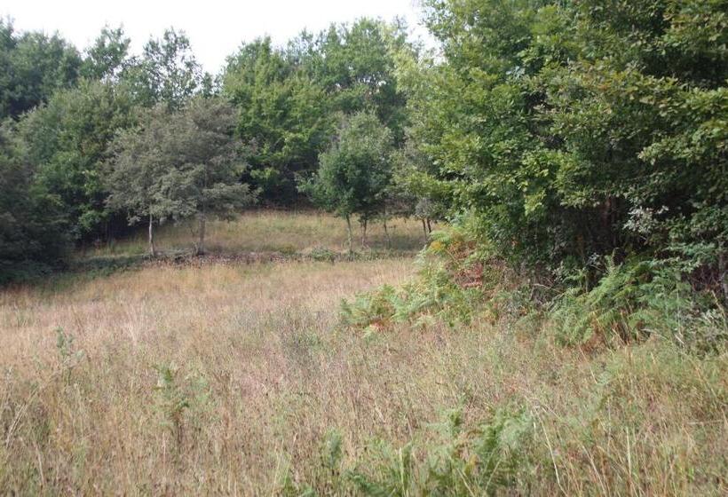 فندق Retiro Da Arminda