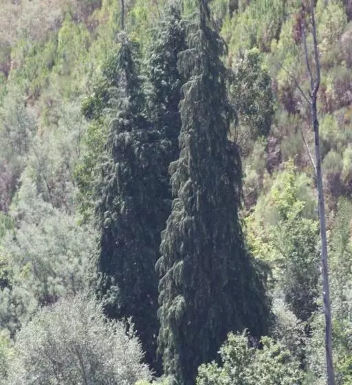 Hotelli Retiro Da Arminda