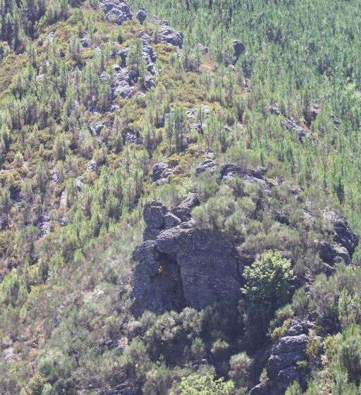 فندق Retiro Da Arminda