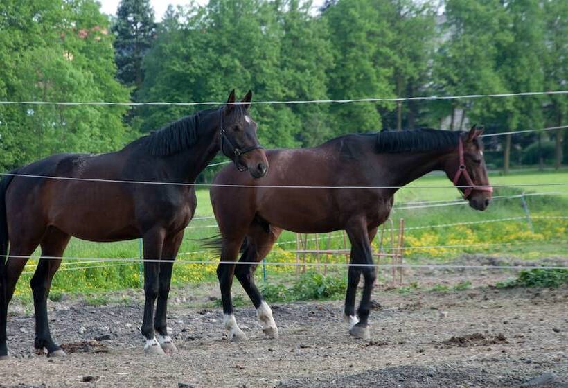 Szálloda Zámek Jeseník Nad Odrou