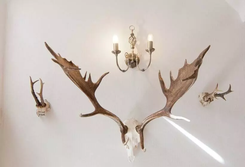 Hotelli Zámek Jeseník Nad Odrou