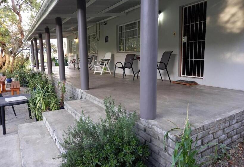 بنسيون Altenburgh Accommodation Apartments