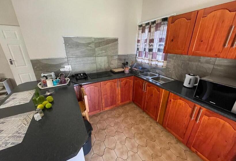 بنسيون Altenburgh Accommodation Apartments
