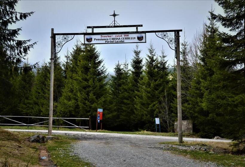 膳宿费 Cabana Cerbul Oasa Transalpina