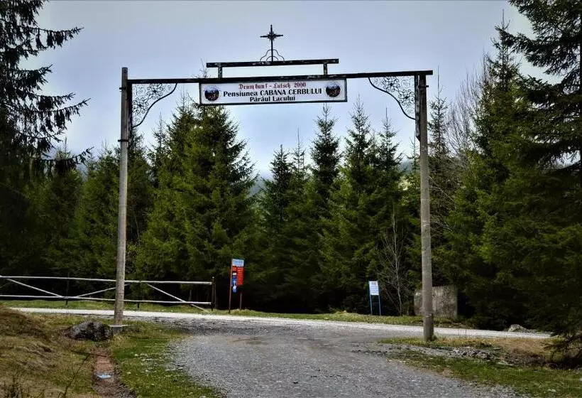 Majatalo Cabana Cerbul Oasa Transalpina