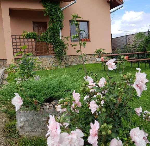 پانسیون Casa Daria