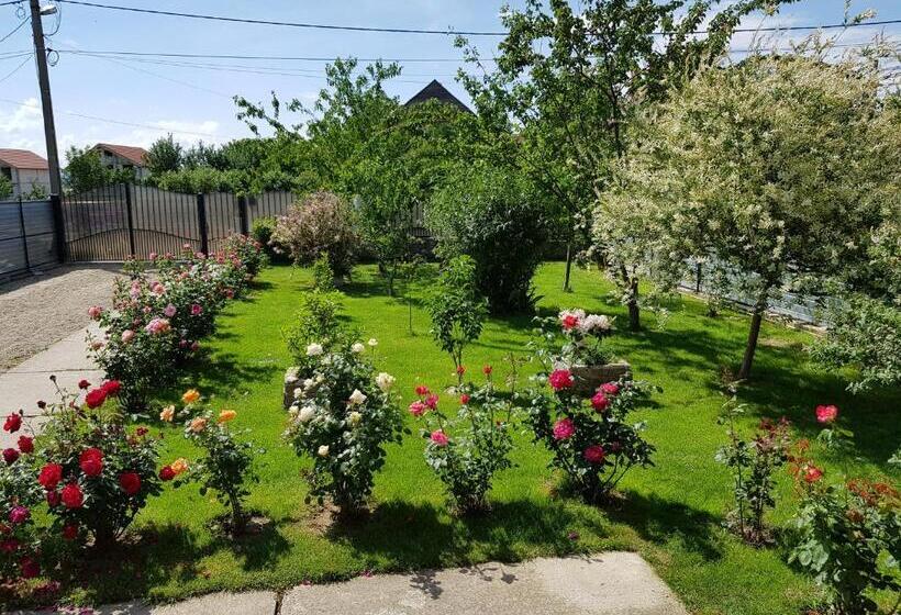 پانسیون Casa Daria