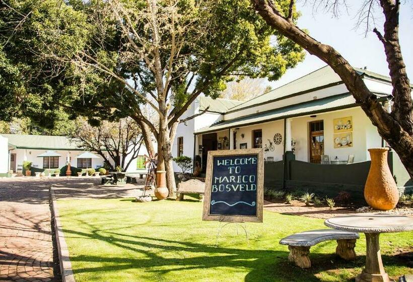 פנסיון Marico Bosveld Guesthouse