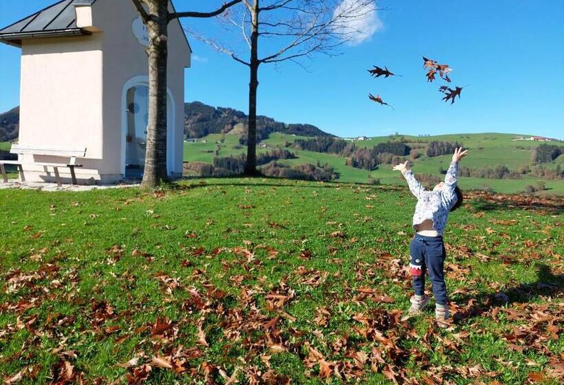ペンション Seyerlehnerhof