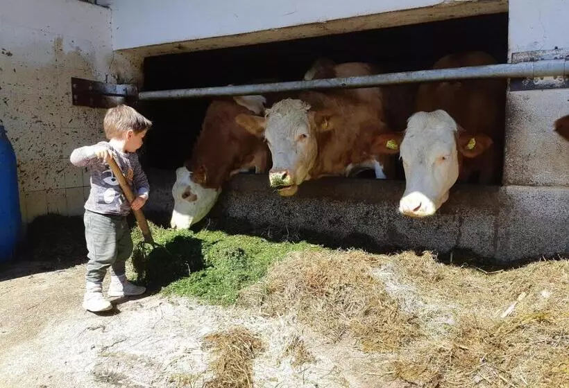 Majatalo Seyerlehnerhof