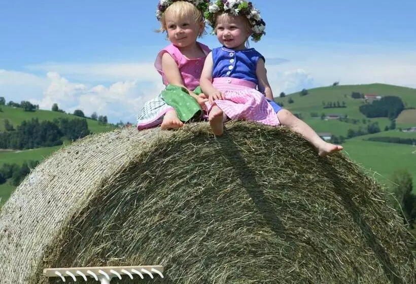 Majatalo Seyerlehnerhof