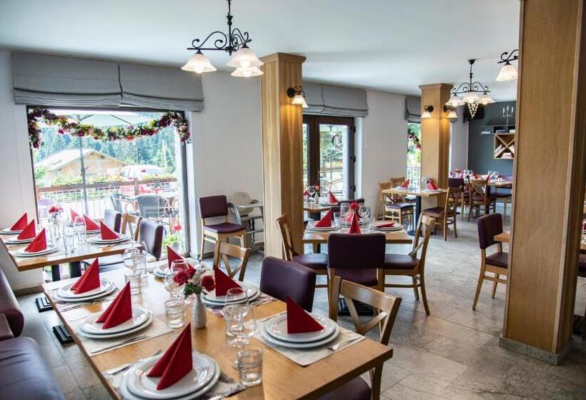 Pensiune Rara Paltinis