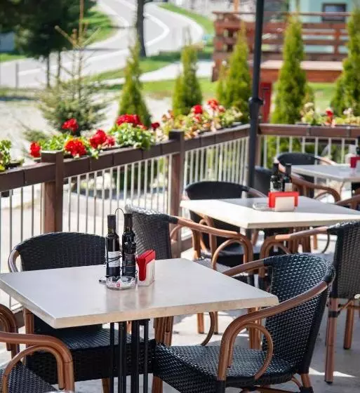 Pensiune Rara Paltinis