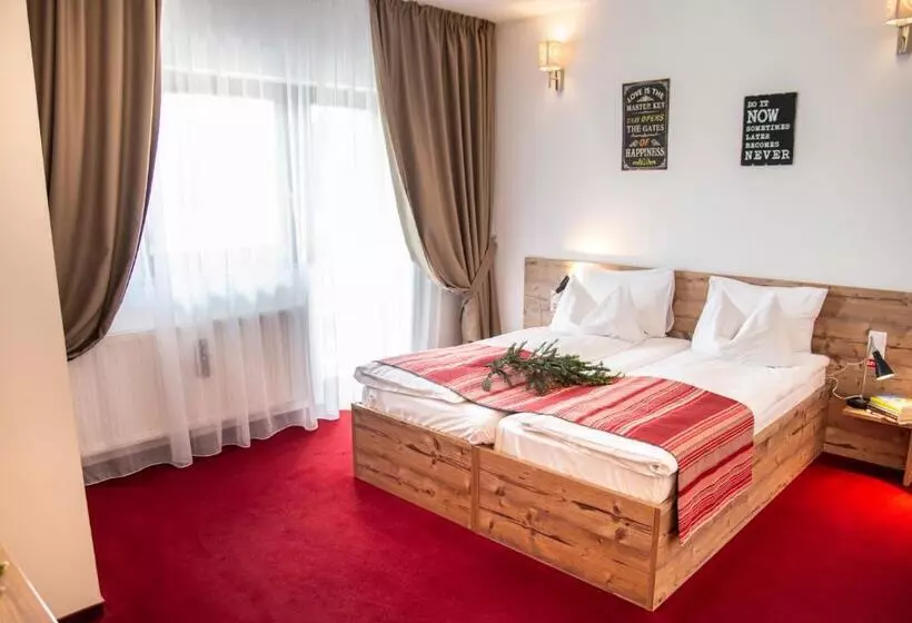 Pensiune Rara Paltinis