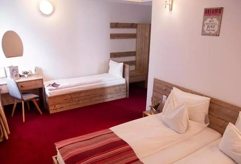 Pensiune Rara Paltinis