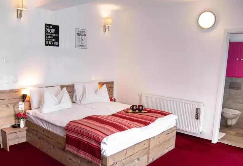 Pensiune Rara Paltinis