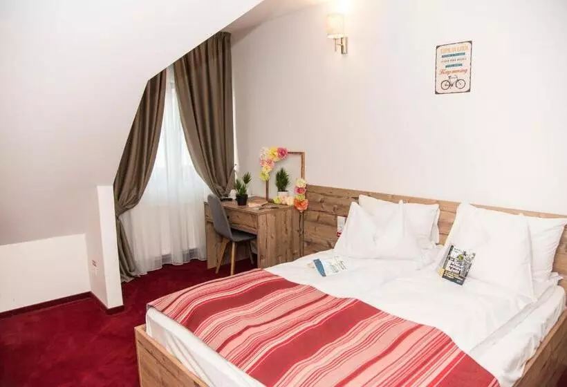 Pensiune Rara Paltinis