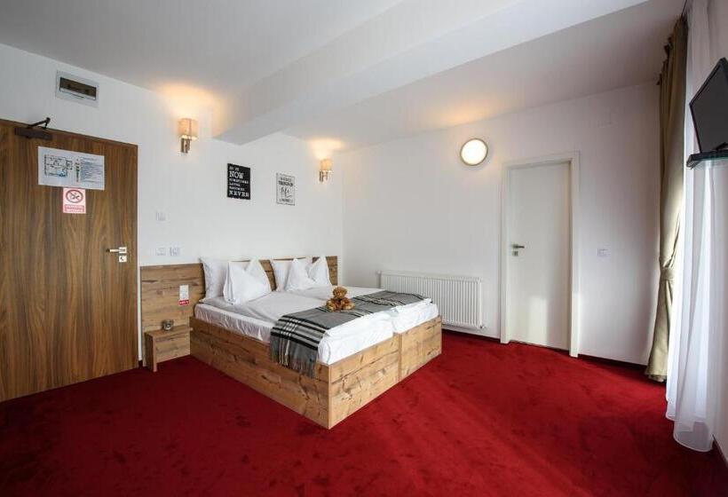 Pensiune Rara Paltinis