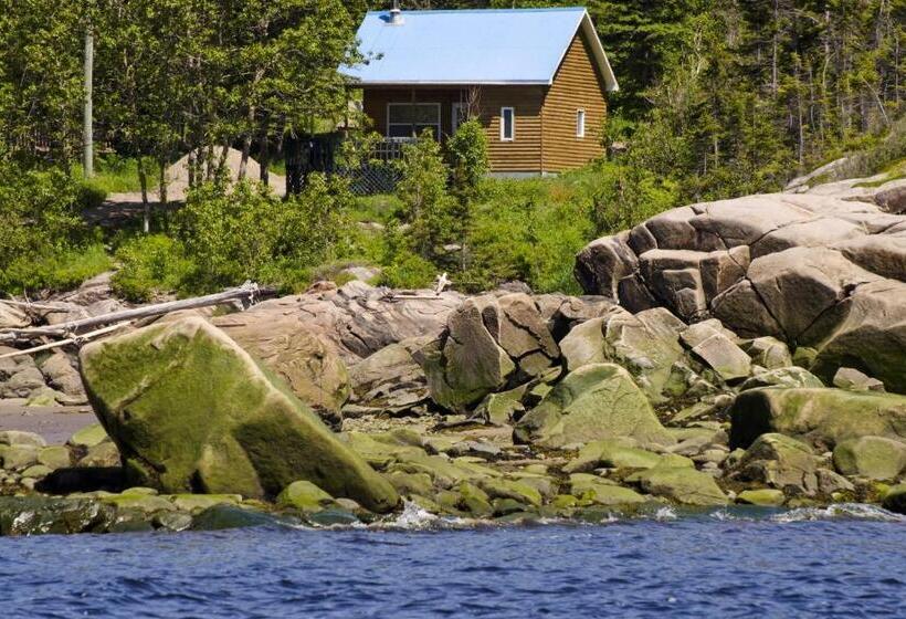 Centre De Vacances 5 étoiles Family Resort