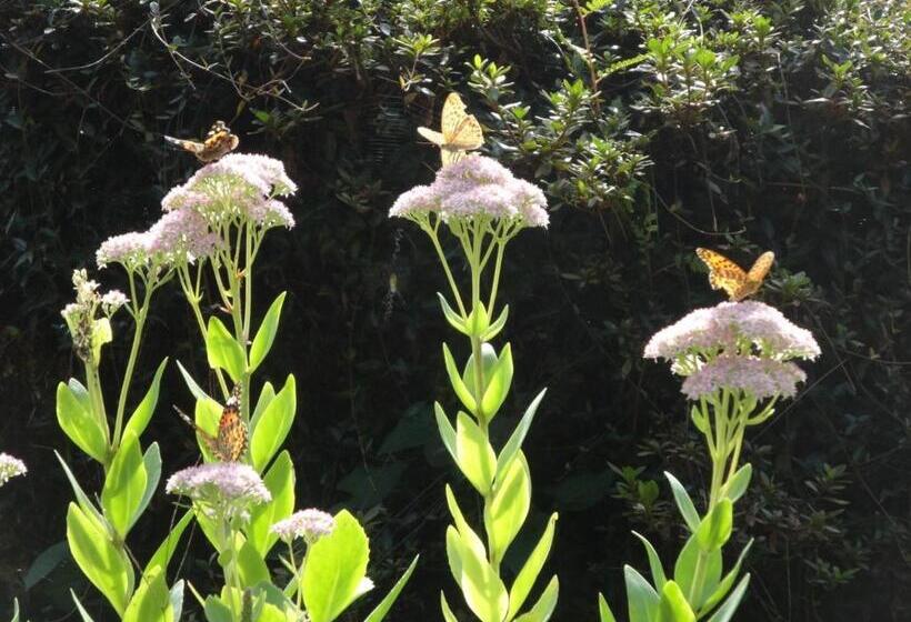 Hotel 古民家の宿 ふるま家 Furumaya House Gastronomic Farmstay In Deep Kyoto