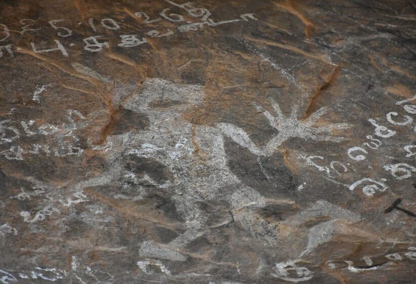 ホテル Explorer By Eco Team Kumana National Park