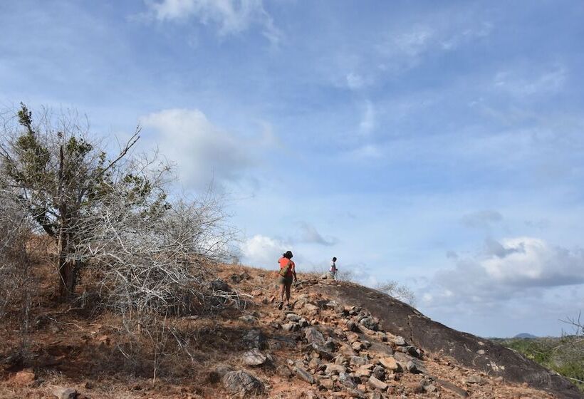 ホテル Explorer By Eco Team Kumana National Park