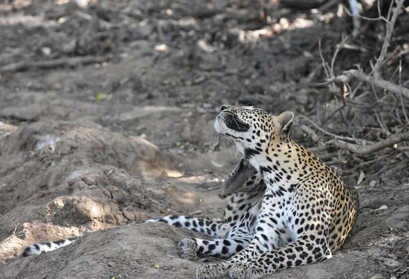 ホテル Explorer By Eco Team Kumana National Park