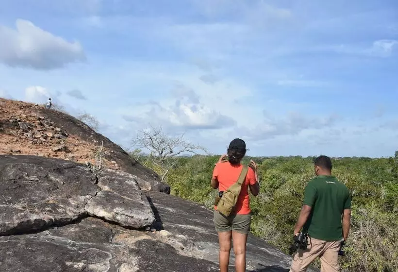 Hotelli Explorer By Eco Team   Kumana National Park